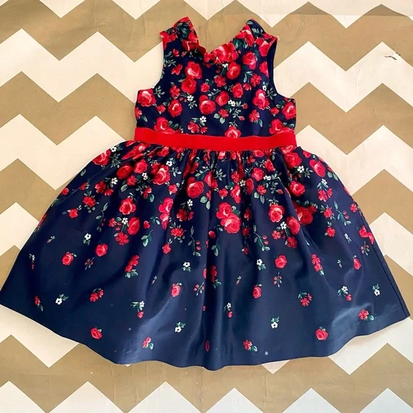 Janie and Jack Dresses Janie And Jack Christmas Dress Poshmark